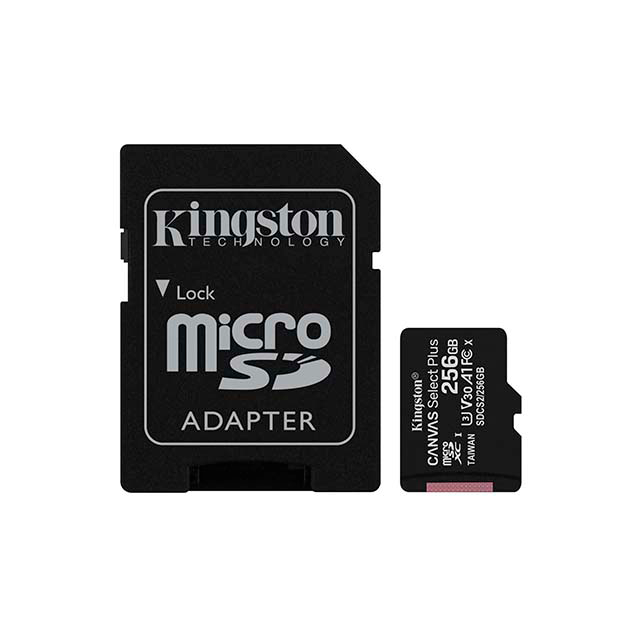 MEMORIA SD KINGSTON TECHNOLOGY DS2/256GB