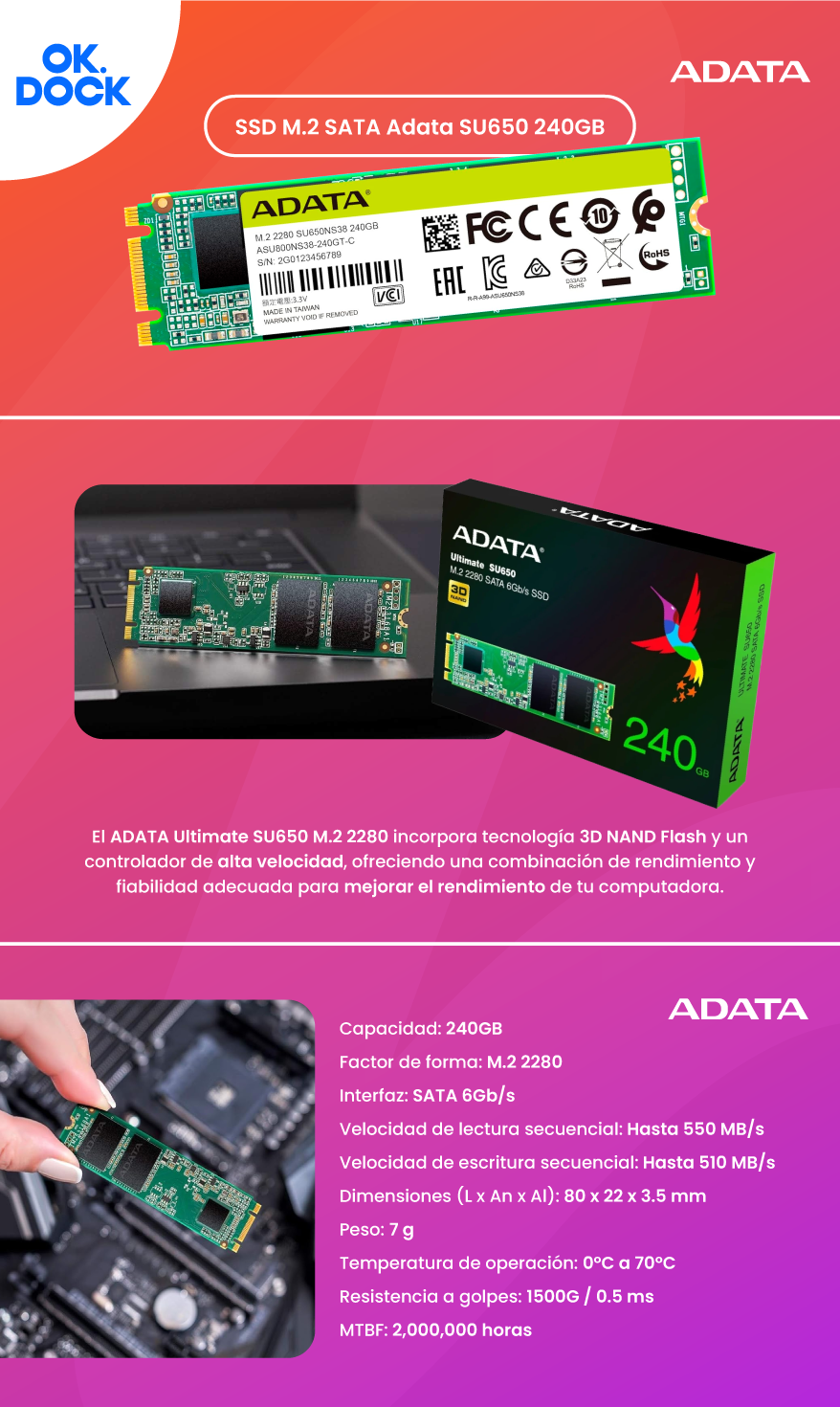 SSD M.2 SATA ADATA SU650 240GB