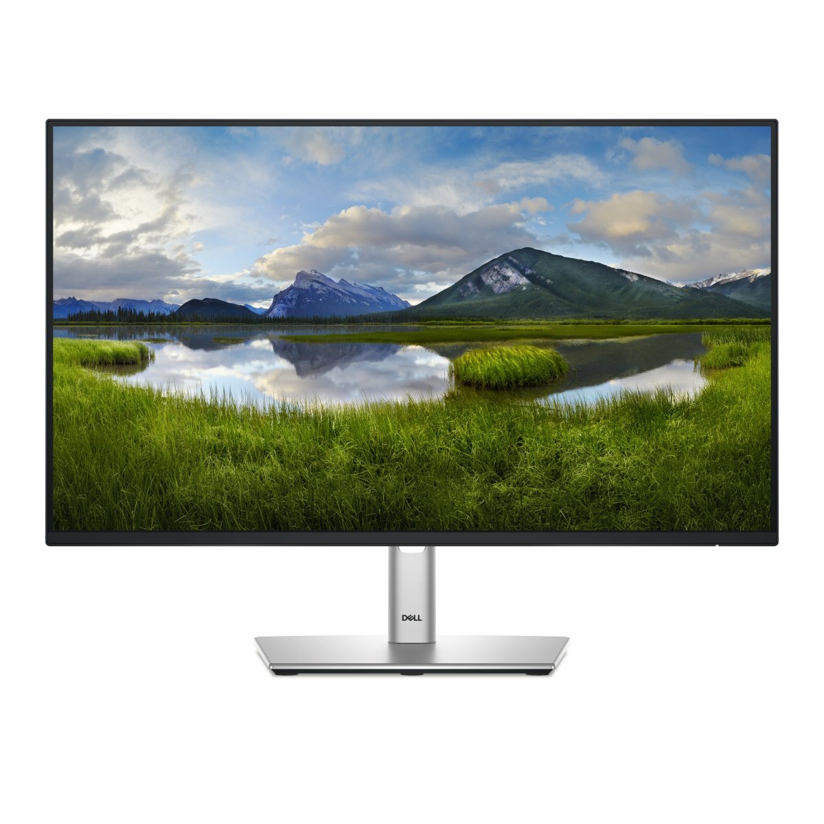 Monitor Dell P2425H 23.8in FHD - imagen 1