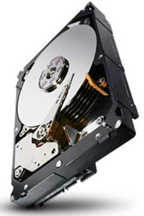 HDD 3.5" SATA Seagate Constellation 1TB - imagen 1