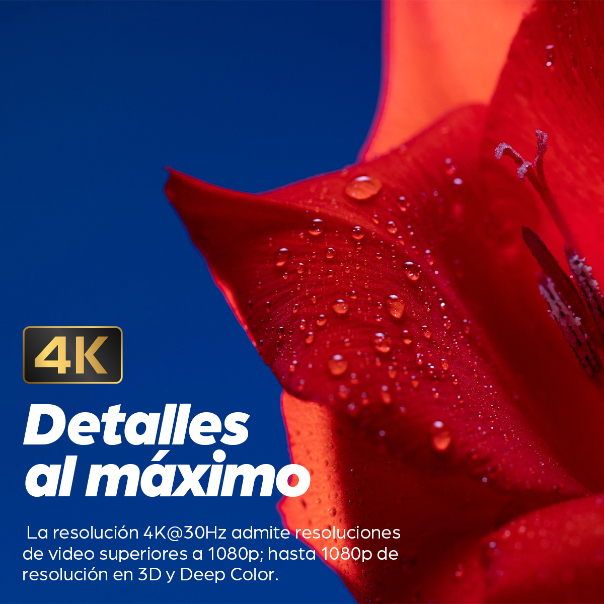 Cable de Video 5m HDMI a HDMI Manhattan 306133, Hasta 4K 30Hz, Color Negro - imagen 4