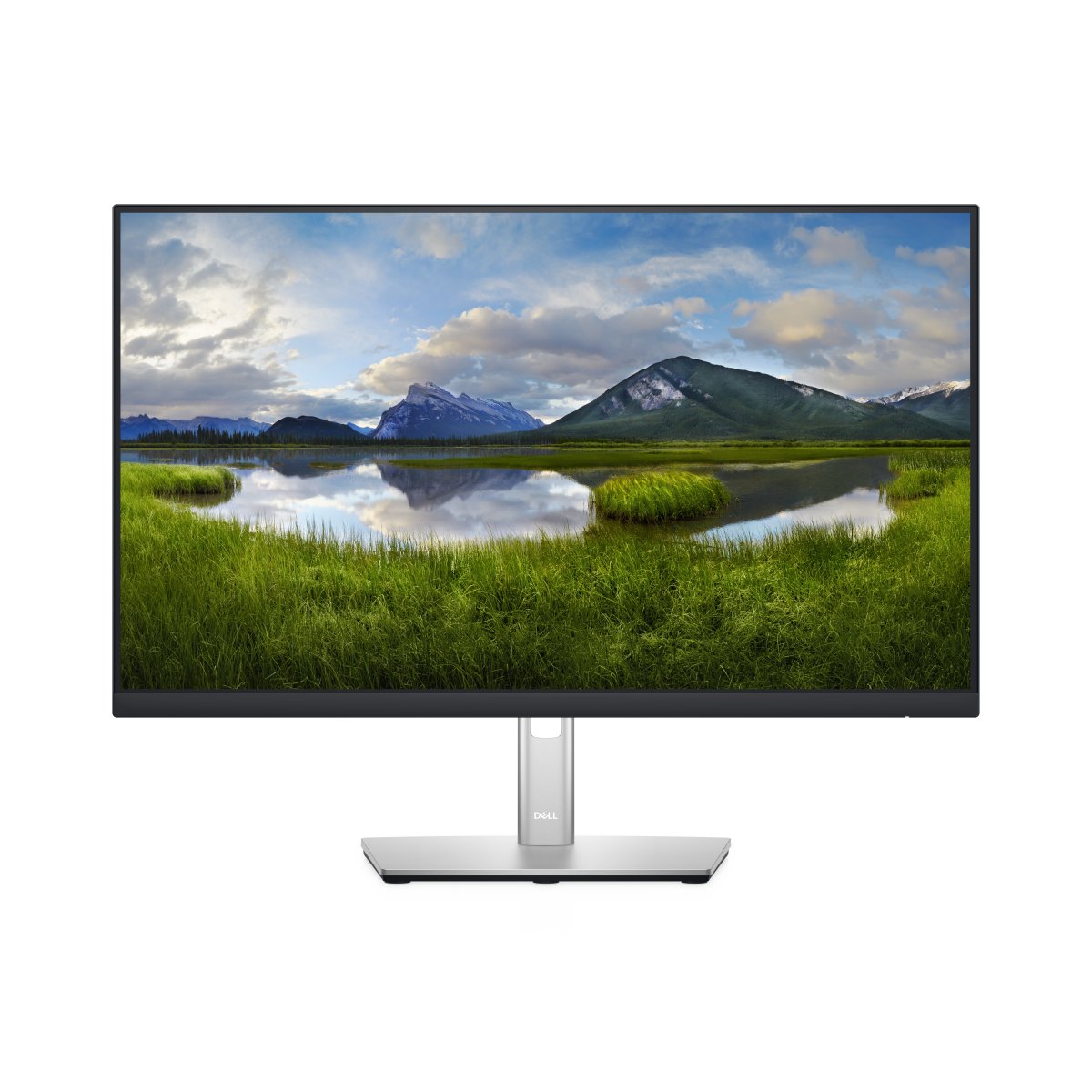 Monitor 24" Dell P2422H 210-BBCC - imagen 5