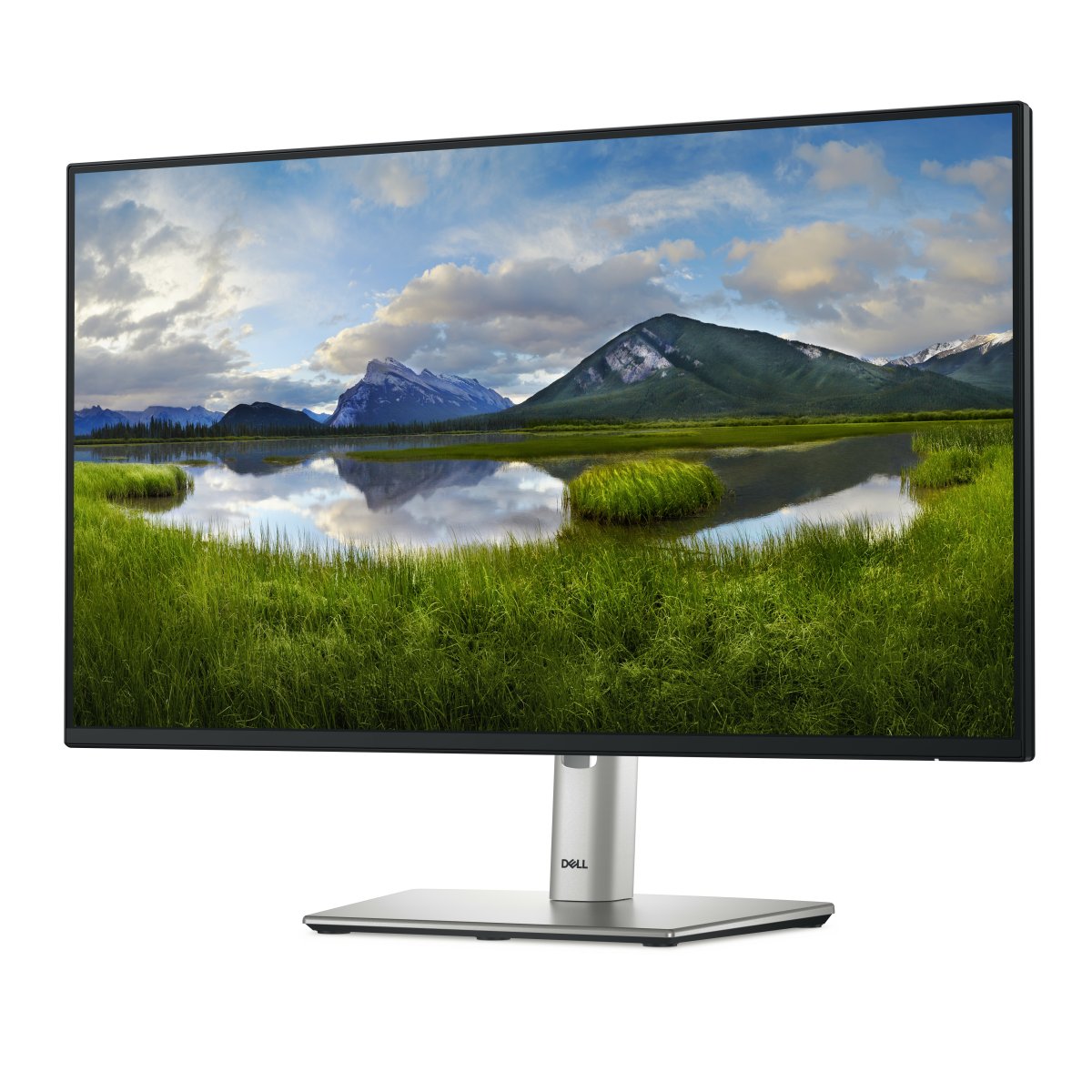 Monitor Dell P2425H 23.8in FHD - imagen 2