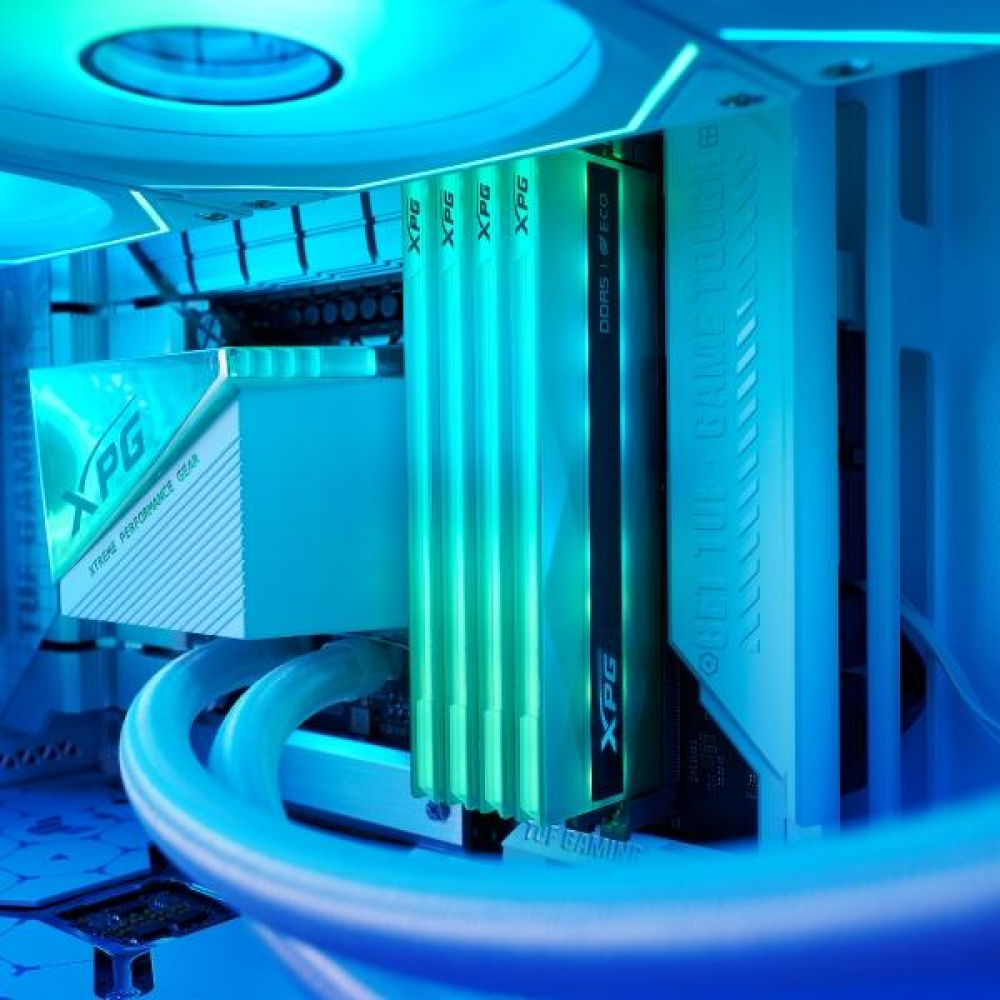 Kit de Memoria RAM DDR5 DIMM 32GB (2x16) 8000MHz CL38 XPG LANCER NEON RGB, Color Negro. AX5U8000C3816G-DCLANRSG