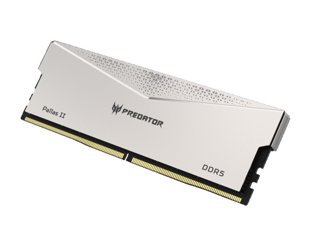 Kit de Memoria RAM DDR5 DIMM 32GB (2x16) 6400MHz CL32 Predator Palas II, Color Plata. BL.9BWWR.375