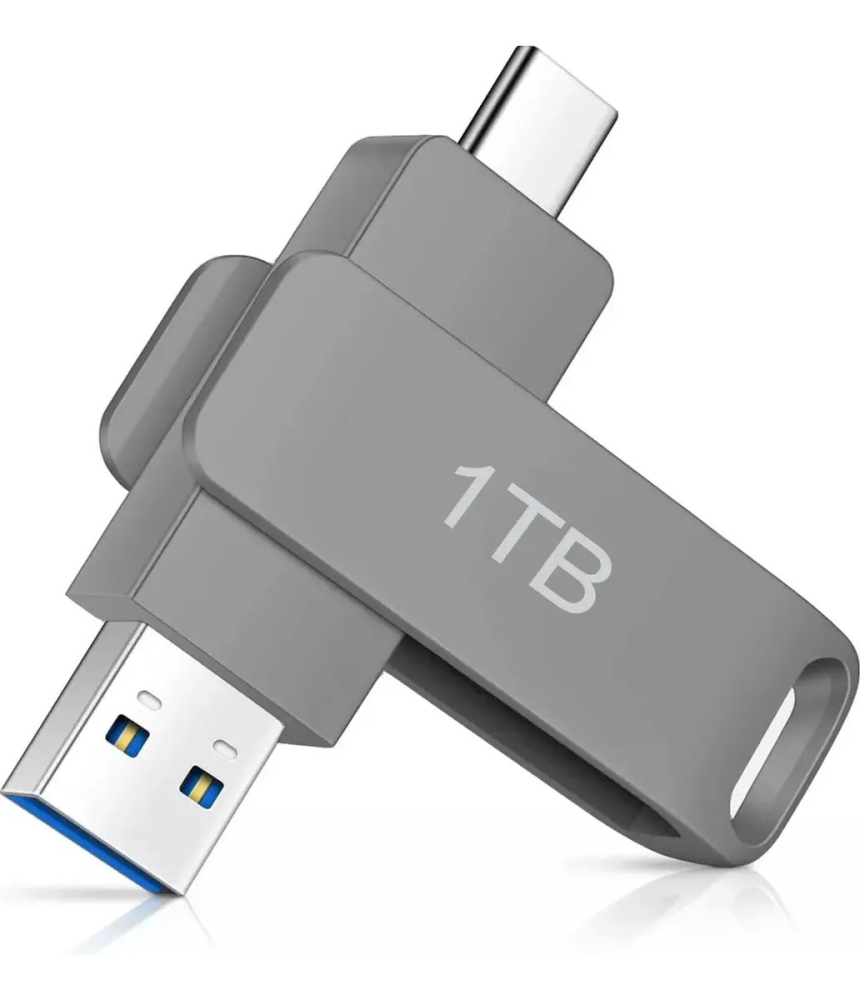 WTDD Memoria USB de 1TB