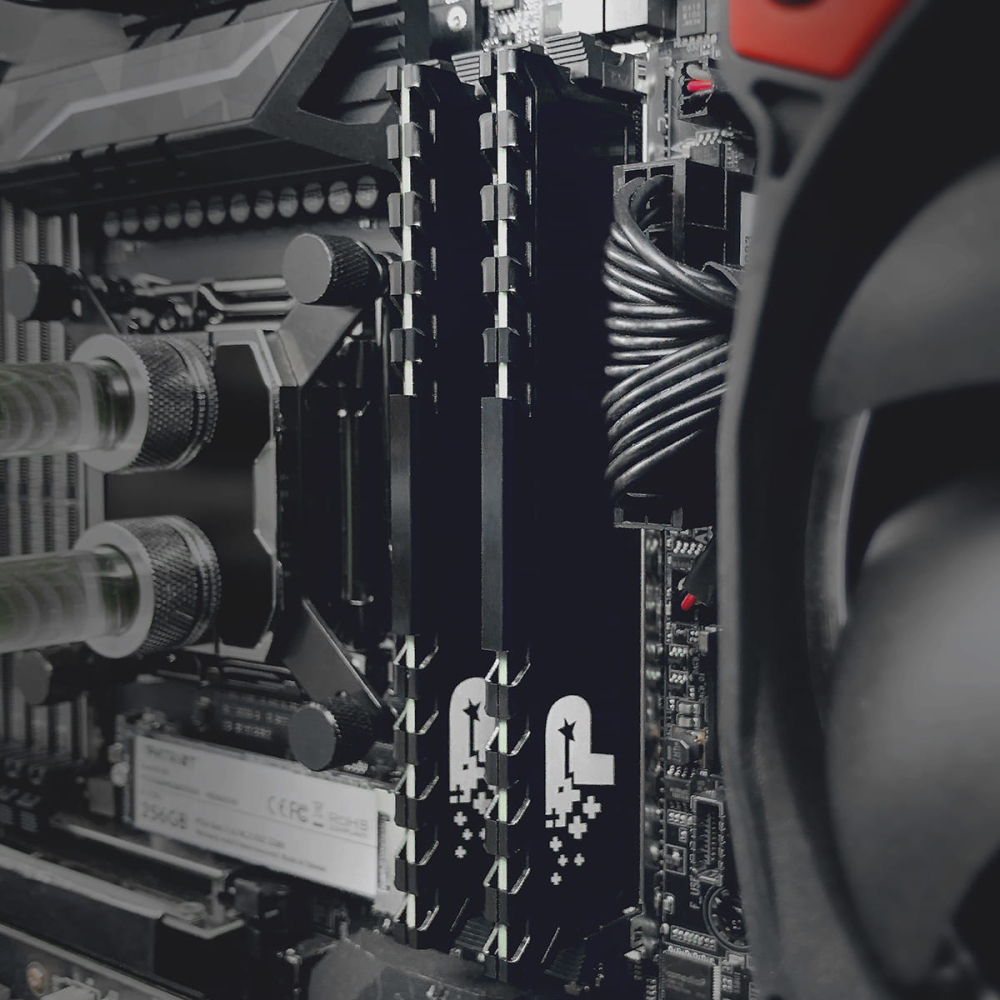 Memoria RAM DDR4 DIMM 16GB 3200MHz CL22 Patriot Signature Premium, Color Negro. PSP416G3200H1