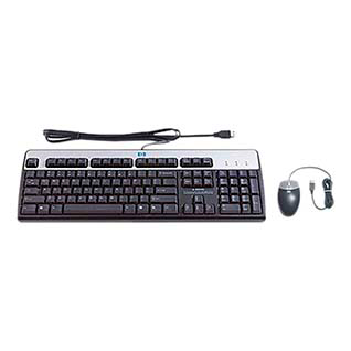 Kit Teclado/Mouse HP 631341-B21 Ingles